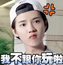 鹿晗最新可爱表情包