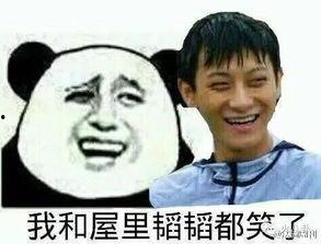 不耿直表情包,笑中带刺的社交暗语